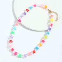 Ethnic Style Pentagram Synthetic Resin Mixed Materials Beaded Knitting Bracelets Necklace 1 Piece main image 2