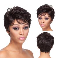 Unisex Fashion Holiday High-temperature Fiber Slanted Bangs Bangs Short Curly Hair Wigs sku image 1