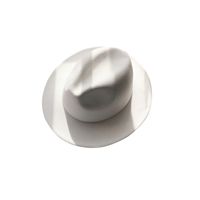 Unisex Fashion Solid Color Wide Eaves Felt Hat main image 3