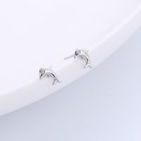 Simple Style Dolphin Titanium Steel Ear Studs Polishing Plating Stainless Steel Earrings main image 1