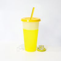 New Fashion Temperature Sensitive Color Changing Plastic Straw Cup 710ml sku image 6