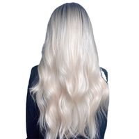 Women's Simple Style Street Matte Silk Centre Parting Long Curly Hair Wigs main image 2