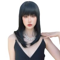 Women's Fashion Street High Temperature Wire Bangs Long Straight Hair Wigs main image 2