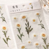 Flower Series Plant Material Hand Account Diy Special-shaped Decoration Pet Sticker main image 4