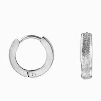 Simple Style Geometric Titanium Steel Hoop Earrings Polishing Stainless Steel Earrings main image 4
