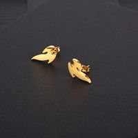 Hip-hop Flame Titanium Steel Ear Studs Plating Stainless Steel Earrings main image 2