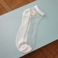Women's Simple Style Color Block Nylon Printing Socks sku image 1