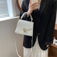 Women's Small Pu Leather Stripe Fashion Square Lock Clasp Crossbody Bag main image 6