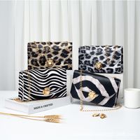 Women's Small Pu Leather Color Block Leopard Vintage Style Square Lock Clasp Crossbody Bag main image 5