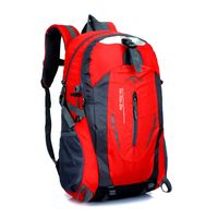 Unisex Medium Oxford Cloth Solid Color Sports Square Zipper Functional Backpack sku image 7