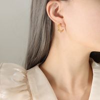 Fashion Geometric Stainless Steel Earrings Stainless Steel Earrings sku image 1