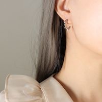 Fashion Geometric Stainless Steel Earrings Stainless Steel Earrings sku image 2