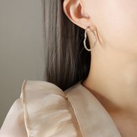Simple Style Geometric Titanium Steel Earrings Stainless Steel Earrings sku image 1