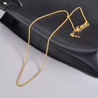 Simple Style Solid Color Titanium Steel Plating Necklace main image 5
