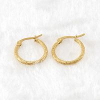 Fashion Circle Stainless Steel Hoop Earrings Gold Plated Stainless Steel Earrings main image 4