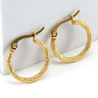 Fashion Circle Stainless Steel Hoop Earrings Gold Plated Stainless Steel Earrings main image 5