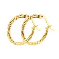 Fashion Circle Stainless Steel Hoop Earrings Gold Plated Stainless Steel Earrings main image 2