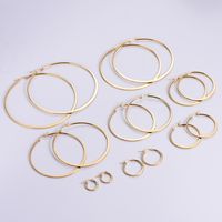 Simple Style Geometric Stainless Steel Hoop Earrings Plating Stainless Steel Earrings sku image 6