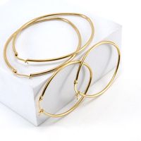 Simple Style Round Stainless Steel Hoop Earrings Plating Stainless Steel Earrings main image 5