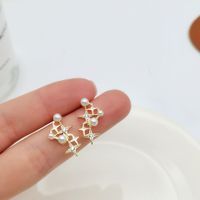 Simple Style Heart Shape Flower Resin Inlay Artificial Pearls Rhinestones Drop Earrings 1 Pair sku image 2