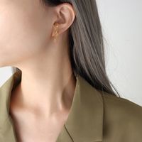 Fashion Bow Knot Titanium Steel Earrings Plating Stainless Steel Earrings sku image 2