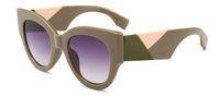 Women's Fashion Color Block Resin Round Frame Full Frame Sunglasses sku image 2