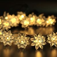 Date D'anniversaire Romantique Fleur Plastique Fête Guirlandes Lumineuses main image 3