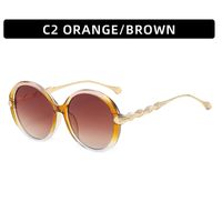 Women's Retro Color Block Resin Round Frame Full Frame Sunglasses sku image 2