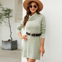 Women's Sweater Dress Simple Style Turtleneck Long Sleeve Solid Color Above Knee Daily sku image 1