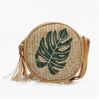 Women's Small Straw Fruit Vacation Embroidery Round Zipper Crossbody Bag sku image 1