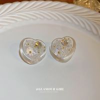 Boucles D&#39;oreilles Acryliques Transparentes Irrégulières De Mode En Gros sku image 59