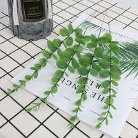 Einfacher Stil Anlage Kunststoff Nachgemachte Pflanzen 1 Stück sku image 1