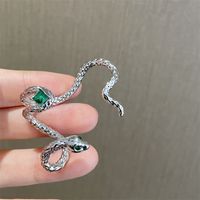 Vintage Style Snake Alloy Inlay Rhinestones Ear Clips 1 Piece main image 3