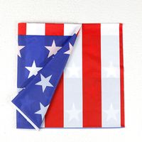 Independence Day Classical American Flag Peva Party Tablecloth main image 3