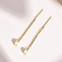 Simple Style Geometric Stainless Steel Drop Earrings Plating Stainless Steel Earrings 1 Pair main image 3