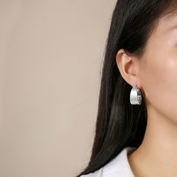 Fashion Geometric Stainless Steel Earrings Plating Stainless Steel Earrings 1 Pair main image 2