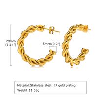 Fashion Solid Color Stainless Steel Earrings Plating Stainless Steel Earrings sku image 2