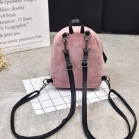 Water Repellent Others Women's Backpack Casual Women's Backpacks main image 7