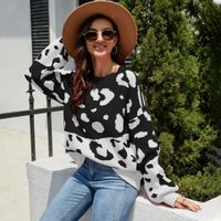 Women's Sweater Long Sleeve Sweaters & Cardigans Fashion Leopard main image 3