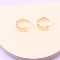 Simple Style Heart Shape Metal Spray Paint Earrings sku image 9