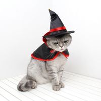 Süß Tuch Halloween Kürbis Kleidung Für Haustiere sku image 4