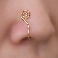 Simple Style Geometric Stainless Steel Plating Zircon Nose Ring 1 Piece main image 9