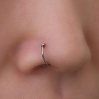 Simple Style Geometric Stainless Steel Plating Zircon Nose Ring 1 Piece main image 2
