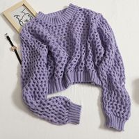 Women's Sweater Long Sleeve Sweaters & Cardigans Hollow Out Simple Style Solid Color main image 7