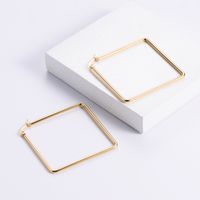 Simple Style Square Stainless Steel Earrings Plating Stainless Steel Earrings sku image 2