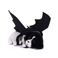 Halloween Bat Cloth Party Costume Props main image 3