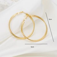 Fashion Circle Copper Gold Plated Hoop Earrings 1 Pair sku image 1