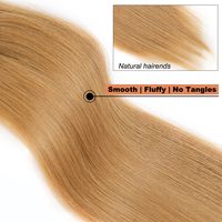 Women's Fashion Brown Gold Weekend High Temperature Wire Straight Hair Wigs main image 3