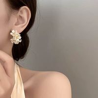Simple Style Flower Alloy Three-dimensional Shell Women's Drop Earrings 1 Pair main image 1