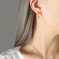 Fashion Twist Titanium Steel Hypoallergenic Necklace Earring Set For Women sku image 3